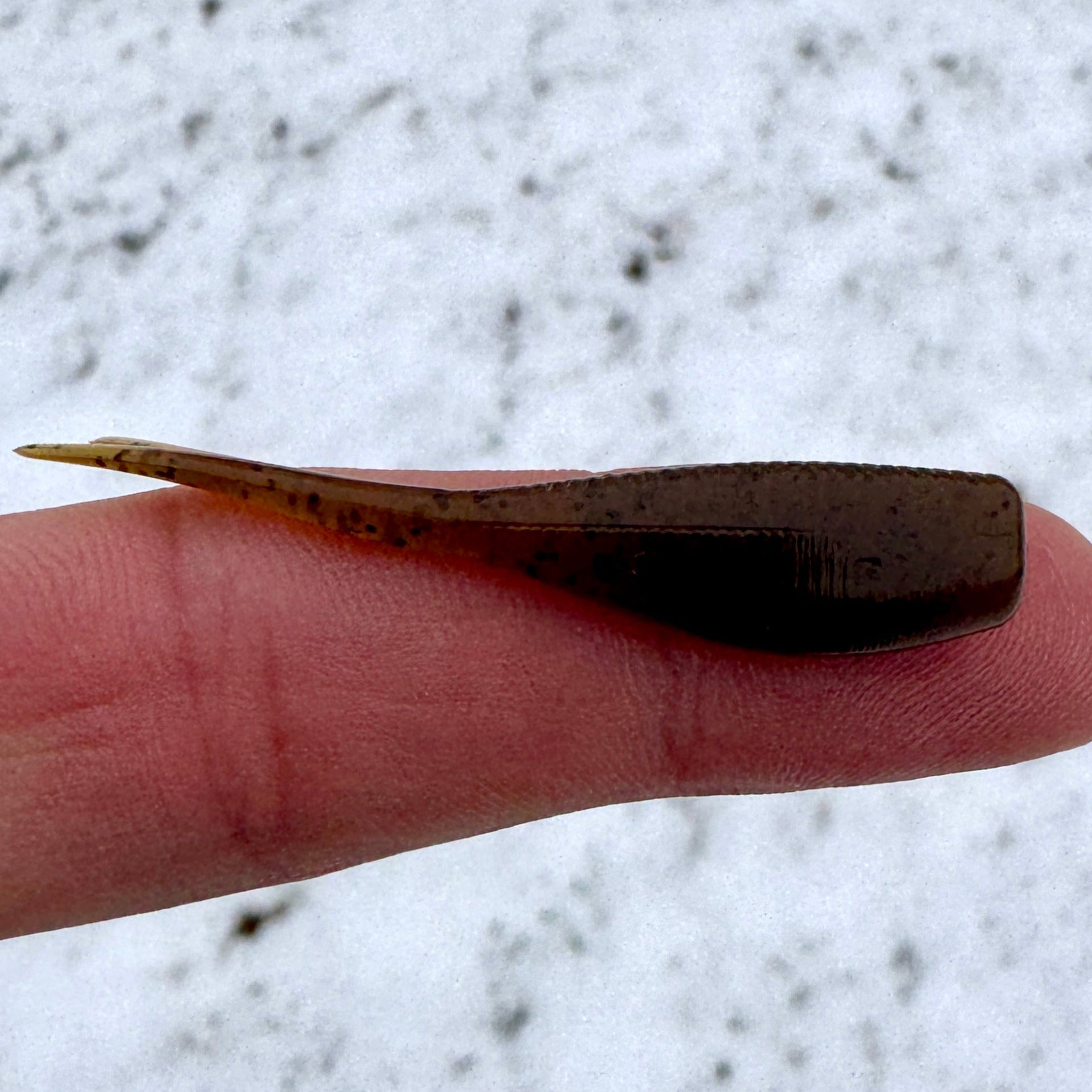 BS Minnow 2"